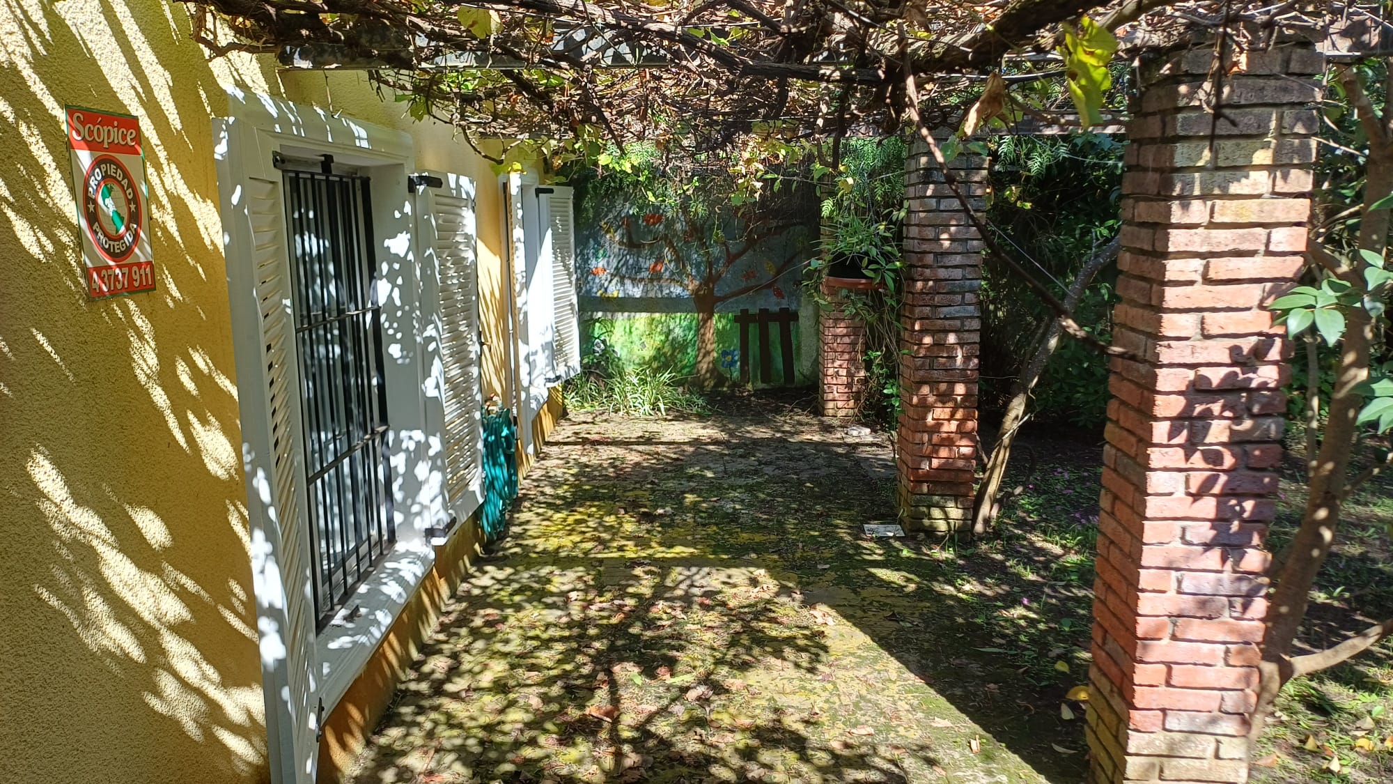 Foto 3 de 12