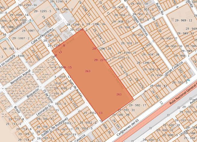 Vendo IMPONENTE TERRENO EN PEDRO JUAN CABALLERO — foto 3