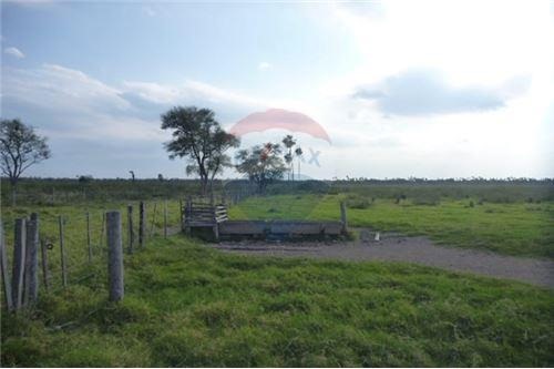 VENDO ESTANCIA EN PRESIDENTE HAYES 731 HECTAREAS — foto 3