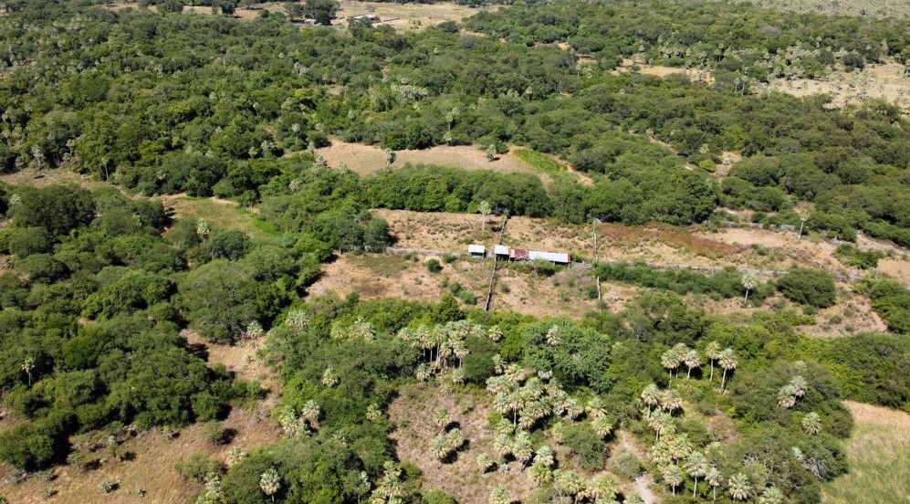 ESTANCIA GANADERA EN VENTA BENJAMÍN ACEVAL - CHACO PARAGUAYO — foto 3