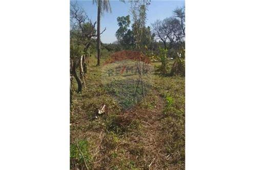 AMPLIO TERRENO UBICADO EN SAN BERNARDINO — foto 2