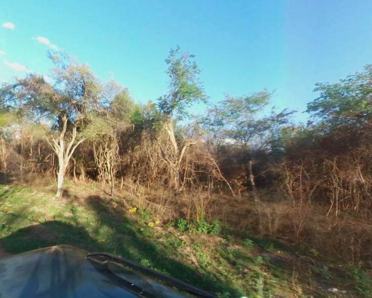 TERRENO EN OFERTA EN SAN BERNARDINO — foto 3