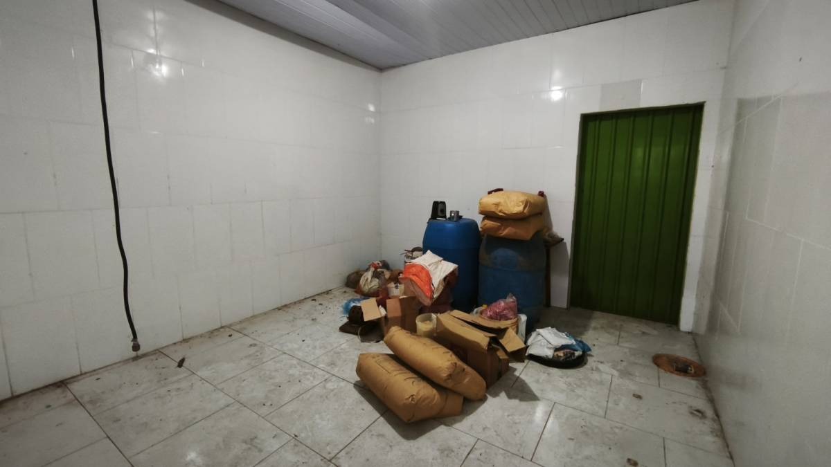 Oportunidad Industrial y Comercial: Complejo con Cámaras Frigorificas en Ita — foto 3