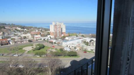 Apartamento Un Dormitorio Torre Colonia