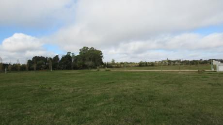 Terreno En Altos De San Carlos, En Altura