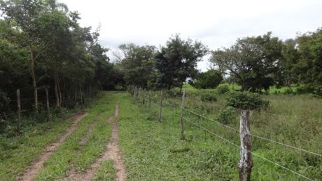 Priopiedad En Venta