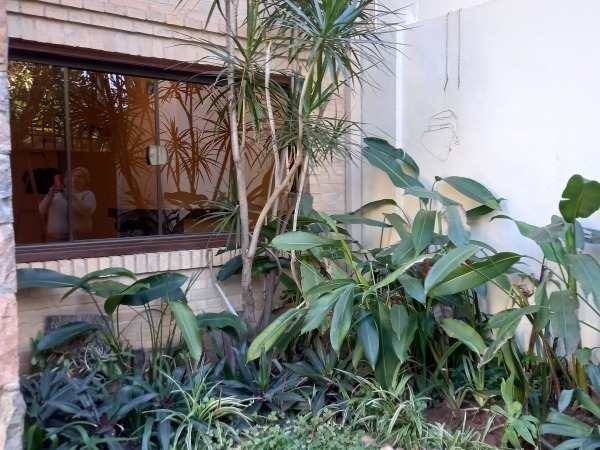 Alquilo hermosa residencia en Barrio Las Mercedes — foto 3
