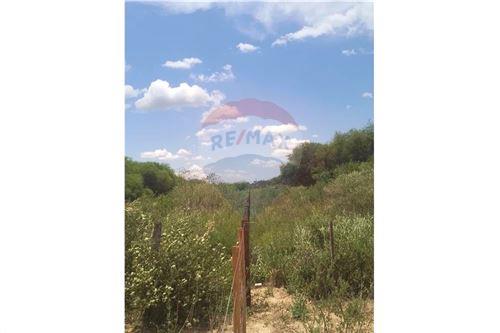 Terreno en venta en Mariscal José Félix Estigarribia — foto 2