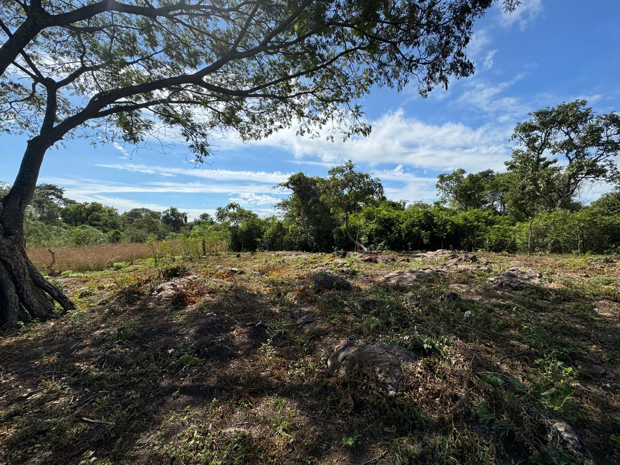 Vendo 7,2 Hectáreas En Arroyos Y Esteros -recibo Vehículo Cerca Al Río Manduvira — foto 2
