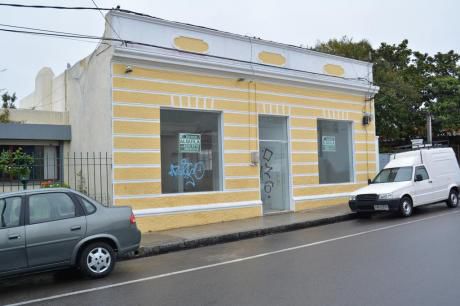 Local Centro De Maldonado