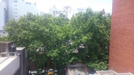 A Estrenar Sobre Calle Haedo.