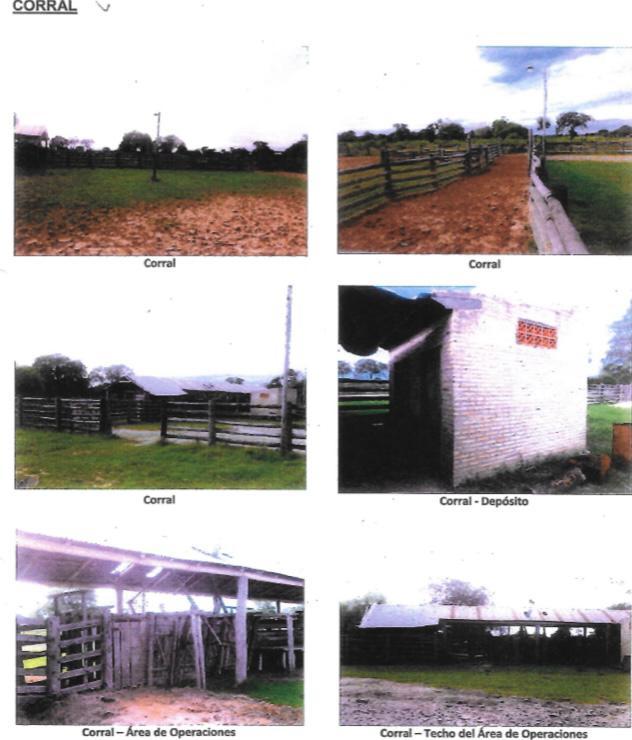 Vendo Estancia De 1.581 Hectáreas, Zona Río Montelindo - Clcs7870116 — foto 2