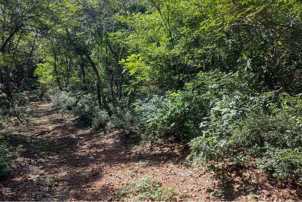 Amplio Terreno en Cocue Guazú Areguá — foto 3