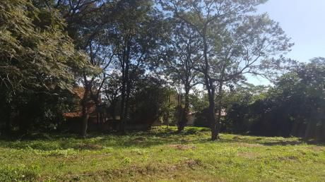 Terreno En El Centro De San Bernardino