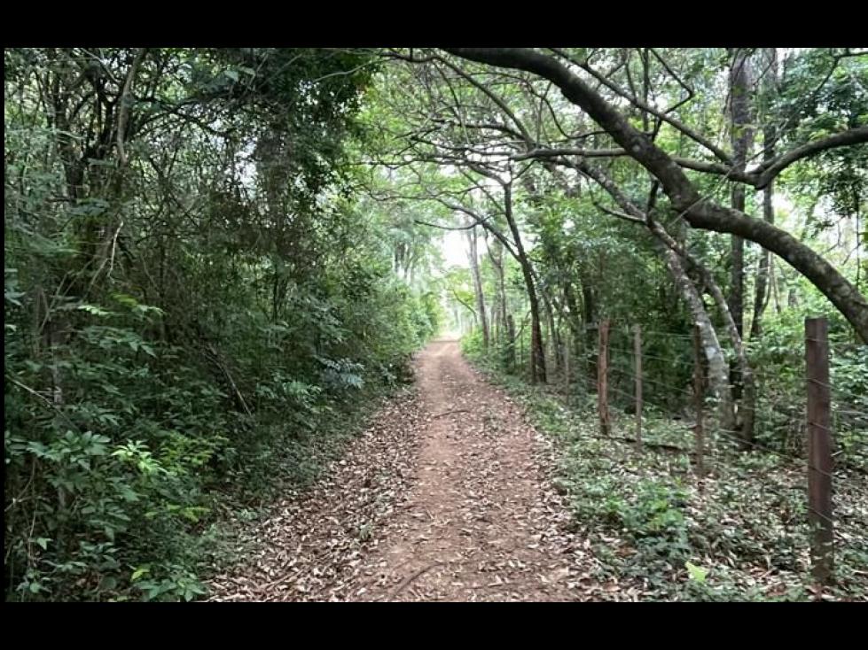 Vendo 4,2 hectáreas en Eusebio Ayala — foto 2