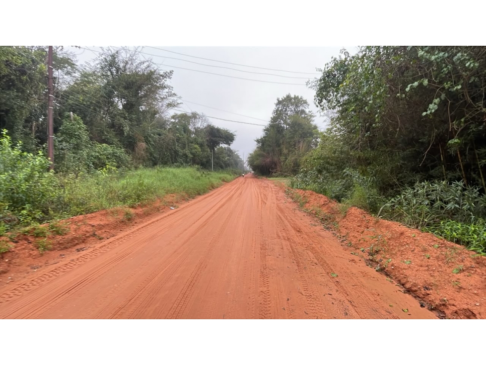 Vendo 20 hectáreas en La Colmena a 600 m del asfalto — foto 2
