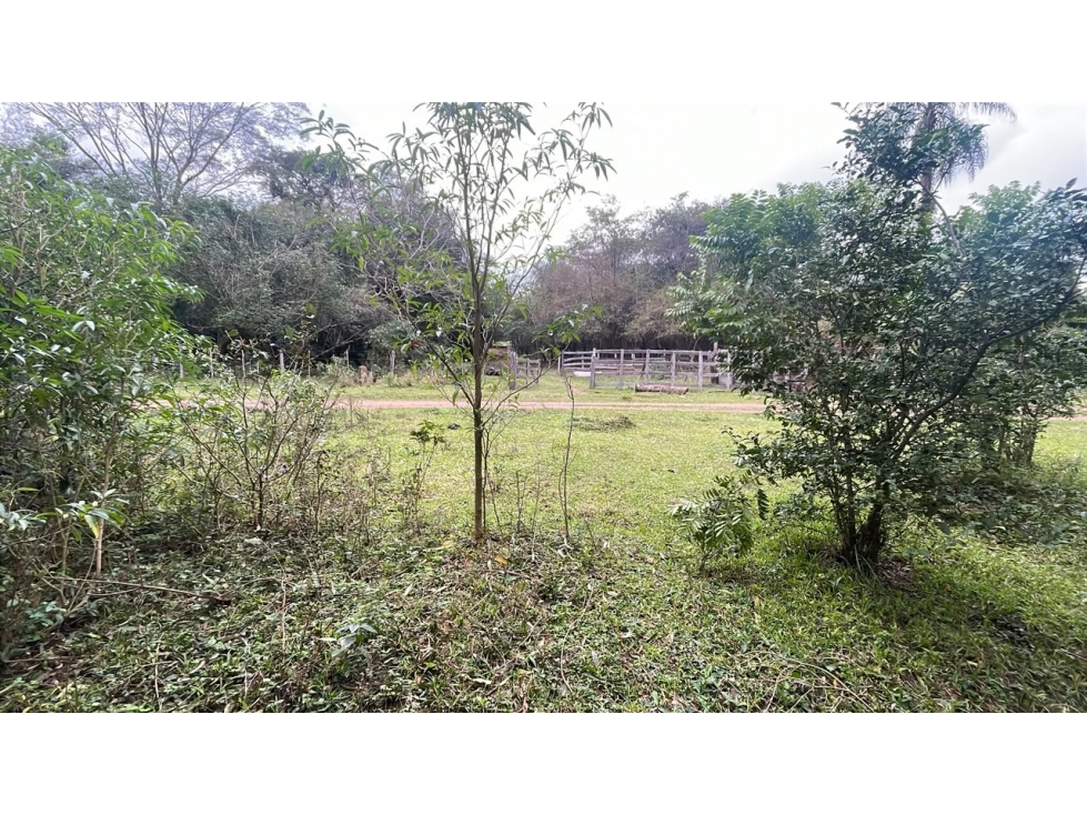 Vendo 6,5 hectáreas en Ybycui — foto 3
