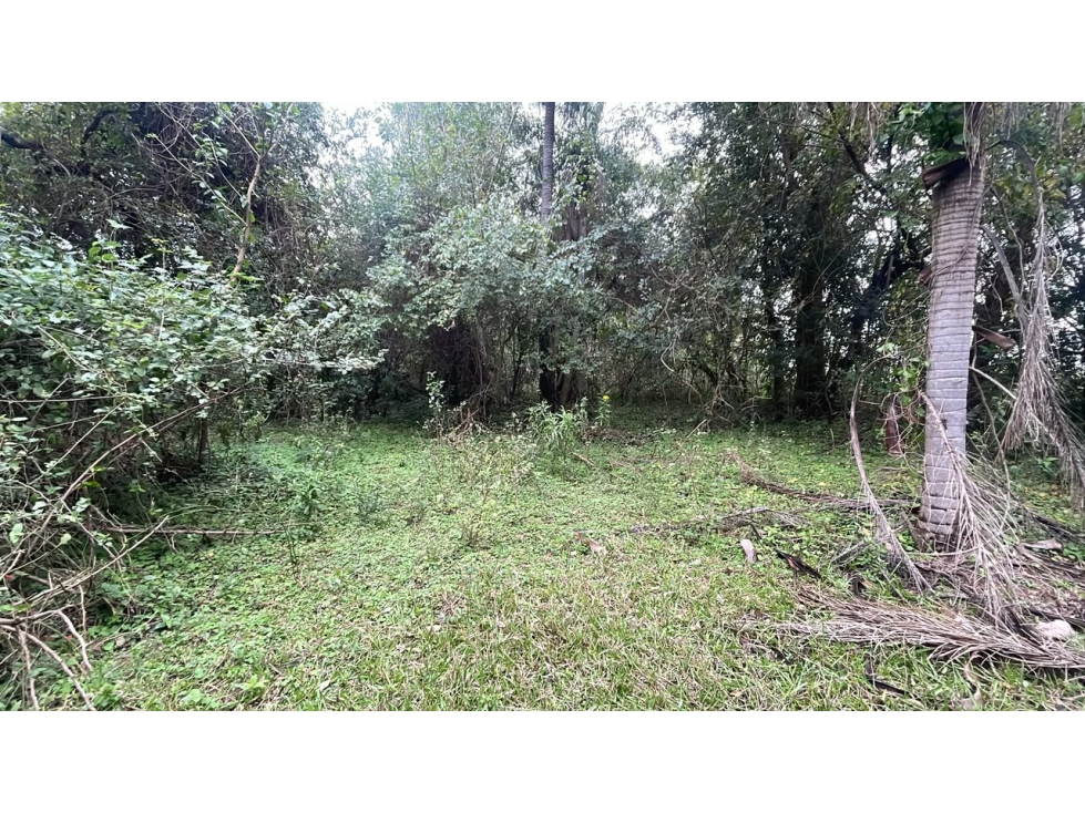 Vendo 6,5 hectáreas en Ybycui — foto 2