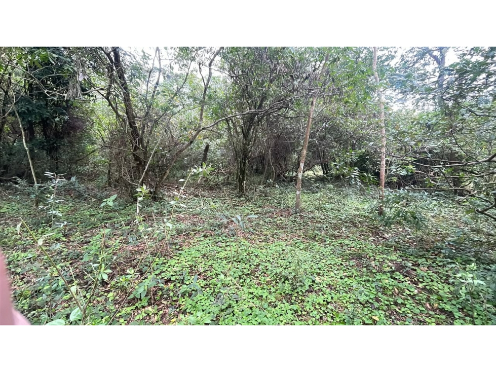 Vendo 3,5 hectáreas en Ybycui — foto 3
