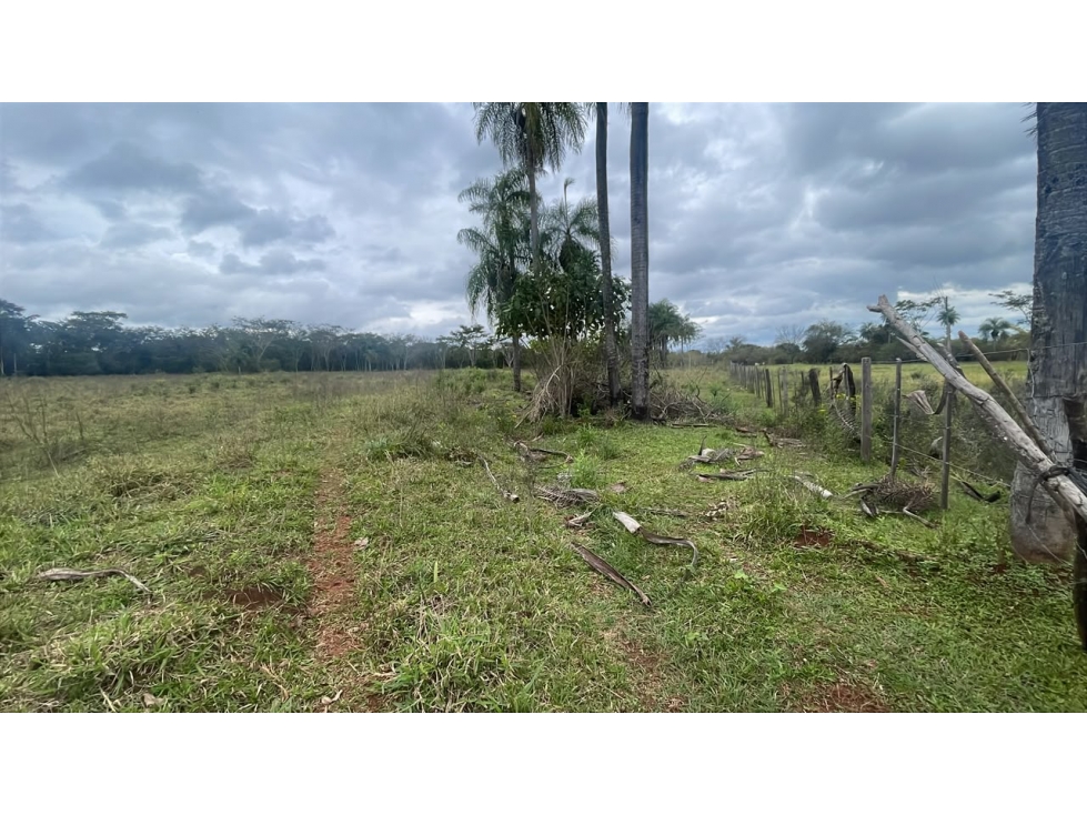 Vendo 3,5 hectáreas en Ybycui — foto 2