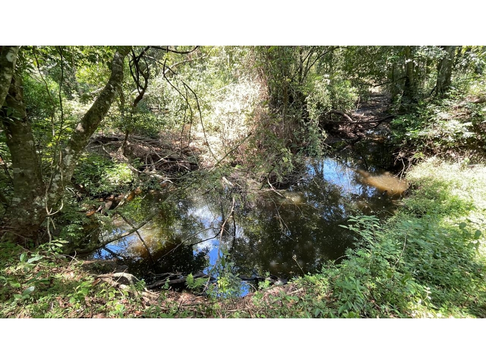 Vendo 17,7 hectáreas con 2 arroyos en Sapucai — foto 2