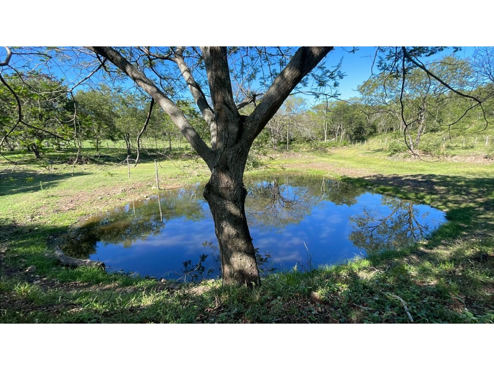 Vendo 114 hectáreas con arroyo en Caapucú — foto 2