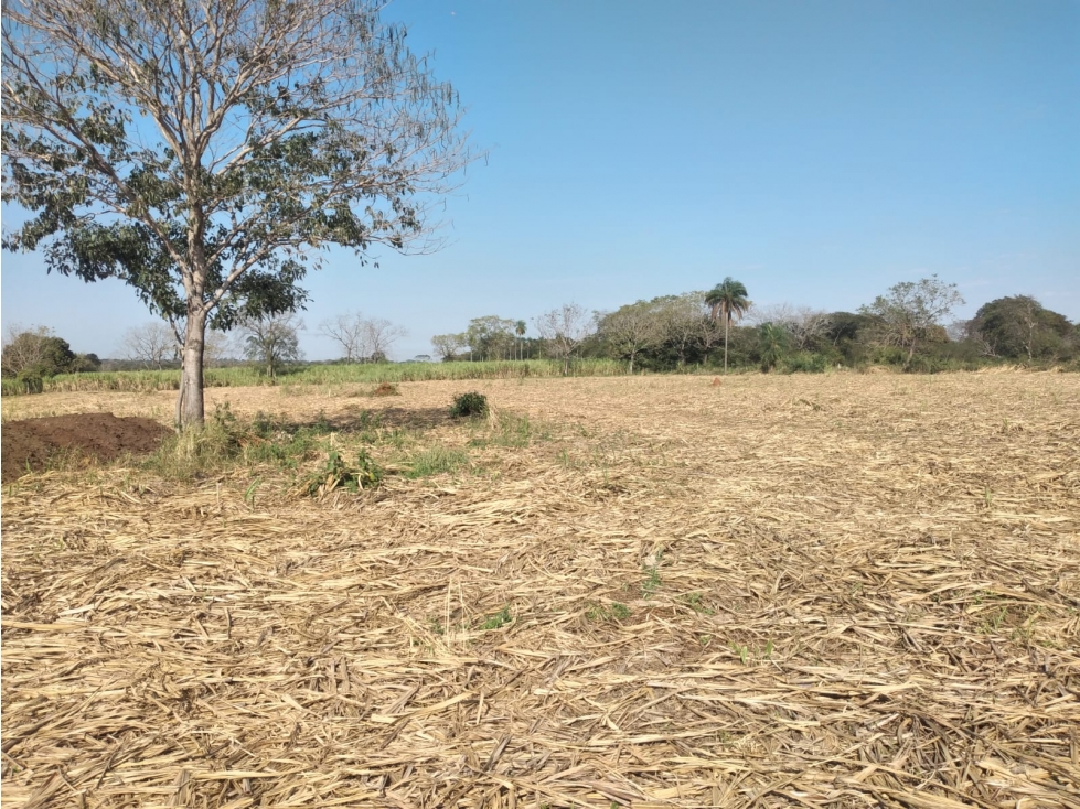 Vendo 5,5 hectareas en Arroyos y Esteros — foto 3