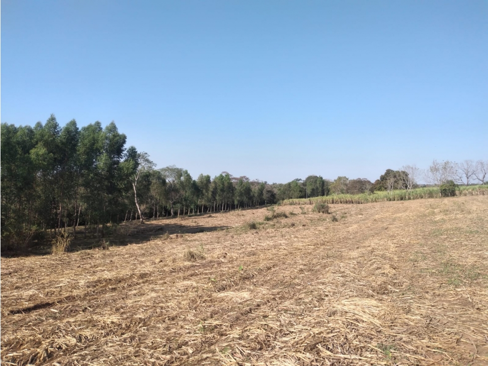 Vendo 5,5 hectareas en Arroyos y Esteros — foto 2
