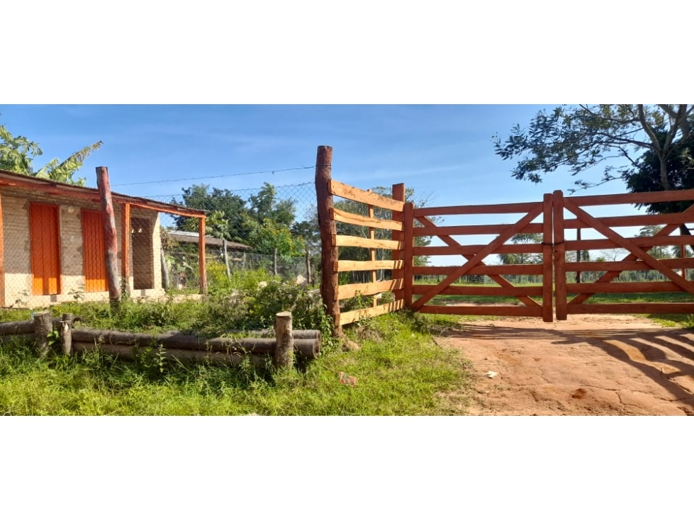Vendo 12 hectáreas -Arroyos y Esteros Zona Ita Piru a 400m del asfalto — foto 2