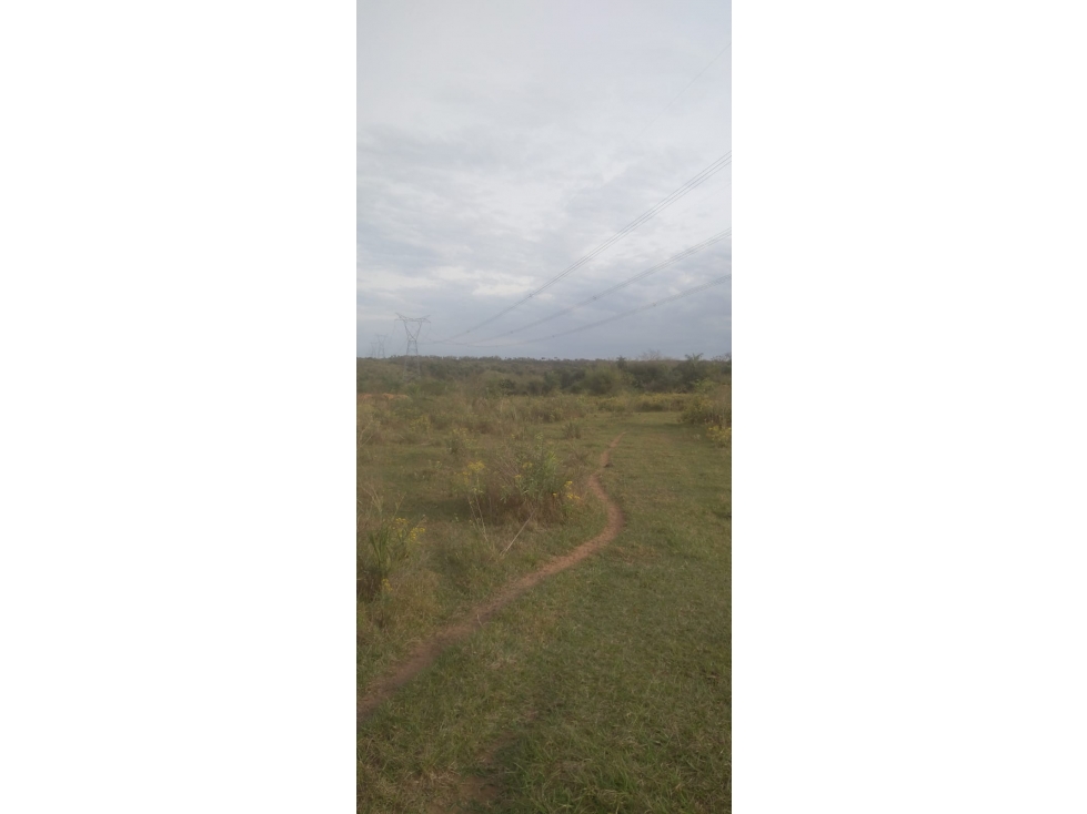 Vendo 20 hectáreas en Emboscada A 3 km de la ruta 3 del casco urbano — foto 3