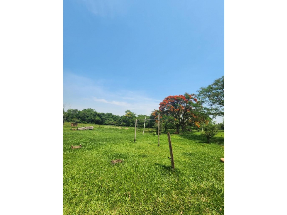 Vendo 5,5 hectareas en Caraguatay Fulgencio Yegros A 1000m del asfalto — foto 3