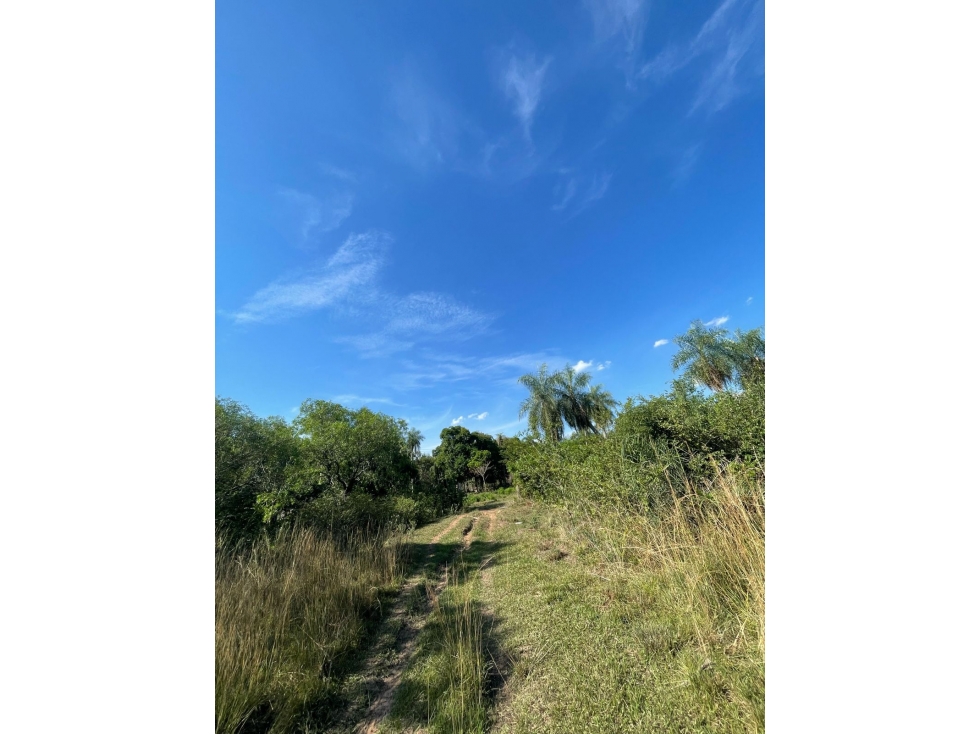 VENDO HERMOSA PROPIEDAD EN EMBOSCADA 20 hectareas A 3 km de la ruta — foto 3