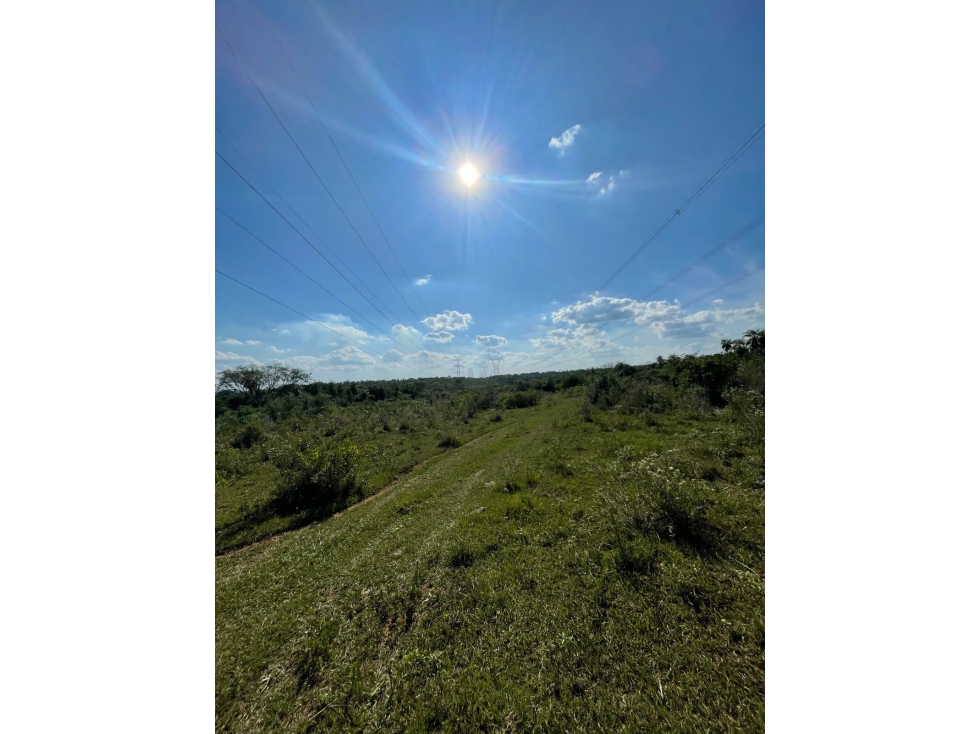 VENDO HERMOSA PROPIEDAD EN EMBOSCADA 20 hectareas A 3 km de la ruta — foto 2
