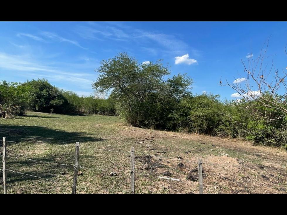 VENDO HERMOSA PROPIEDAD EN EMBOSCADA 20 hectareas A 3 km de la ruta — foto 1