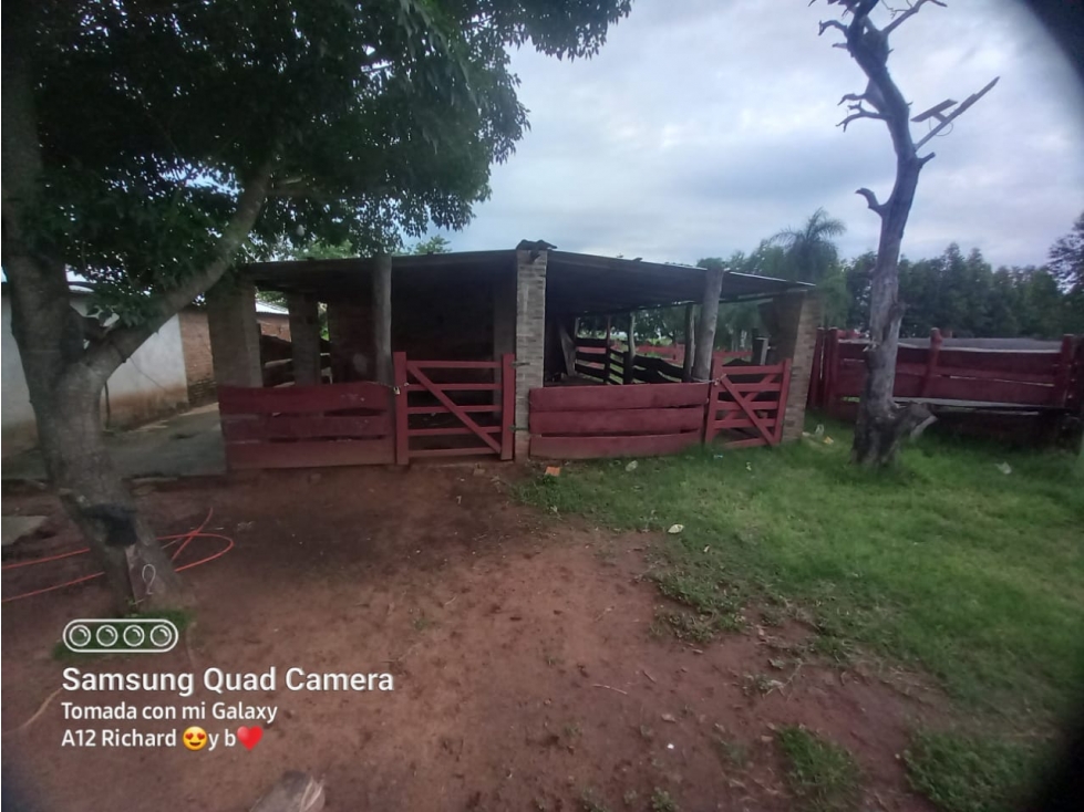 Vendo Propiedad de 10,5 hectáreas en Carapeguá Zona Franco Isla — foto 3