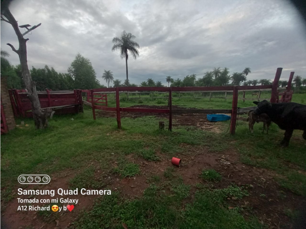 Vendo Propiedad de 10,5 hectáreas en Carapeguá Zona Franco Isla — foto 2
