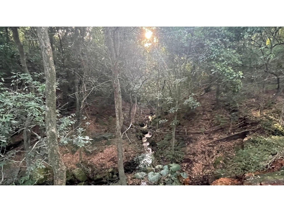 Vendo 20,3 hectáreas en Caacupe, Cordillera con agua y cerro — foto 2