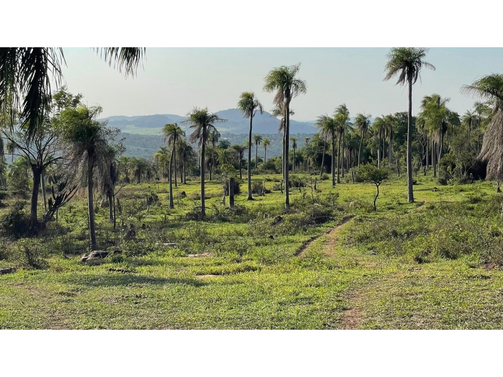 Vendo 20,3 hectáreas en Caacupe, Cordillera con agua y cerro — foto 3