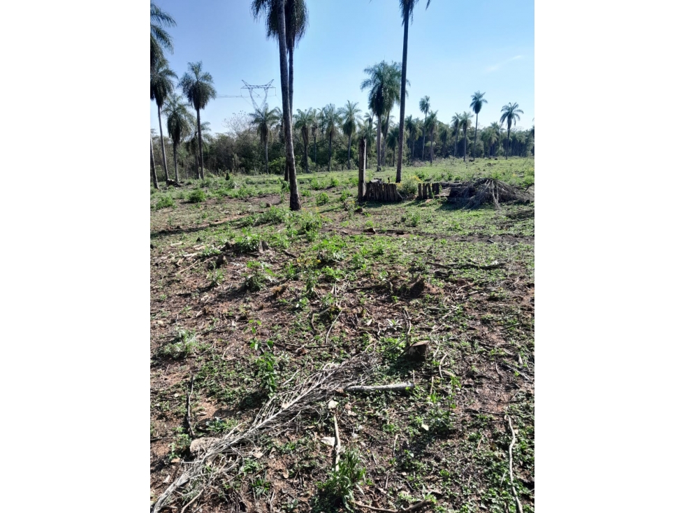 Vendo propiedad de 2 hectáreas en Atyra Ideal para granja — foto 2