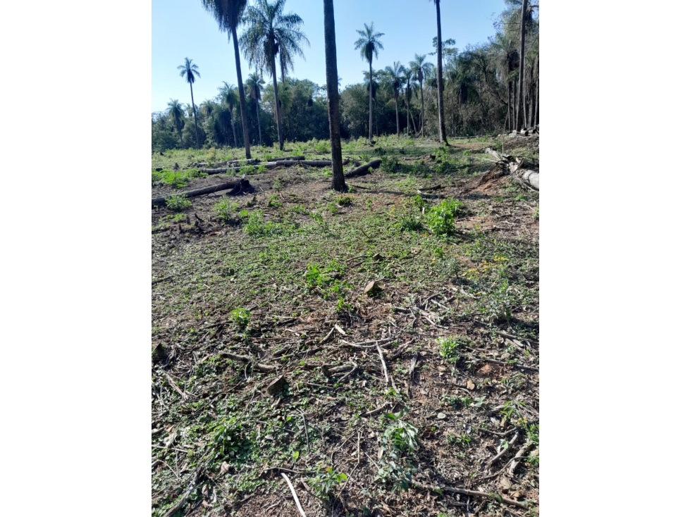 Vendo propiedad de 2 hectáreas en Atyra Ideal para granja — foto 3