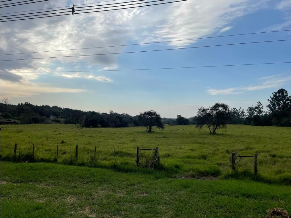 Vendo 19,4 hectáreas en Minga Guazu - 200 metros sobre ruta 2 — foto 3