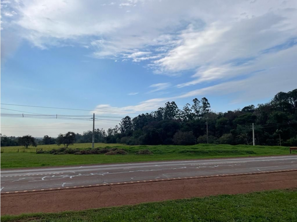 Vendo 19,4 hectáreas en Minga Guazu - 200 metros sobre ruta 2 — foto 2