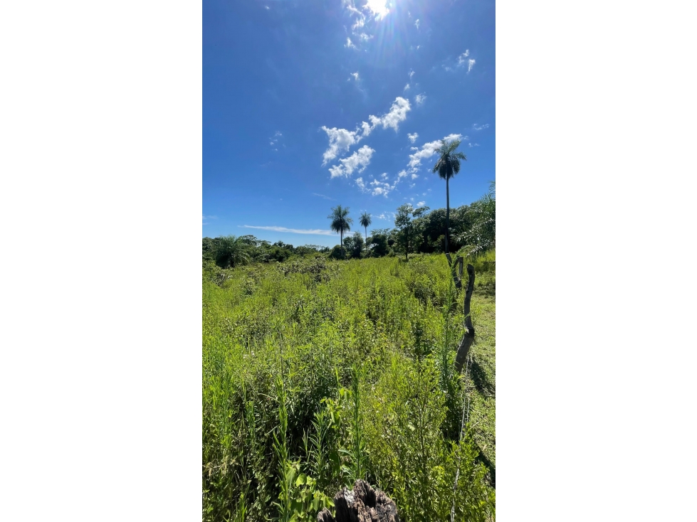 VENDO 9 HECTAREAS EN ATYRA - A 4 km del casco urbano — foto 2