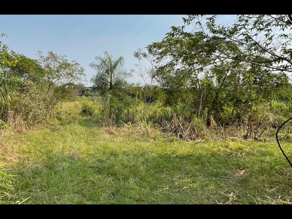 Vendo 5 hectáreas en Arroyos y Esteros - Zona San Antonio — foto 2