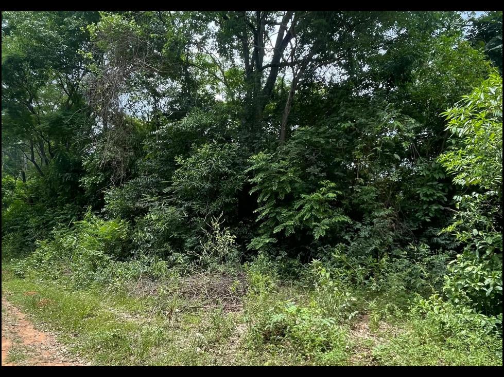 Vendo 2,9 Hectáreas En Atyra zona Bernardino Caballero — foto 3