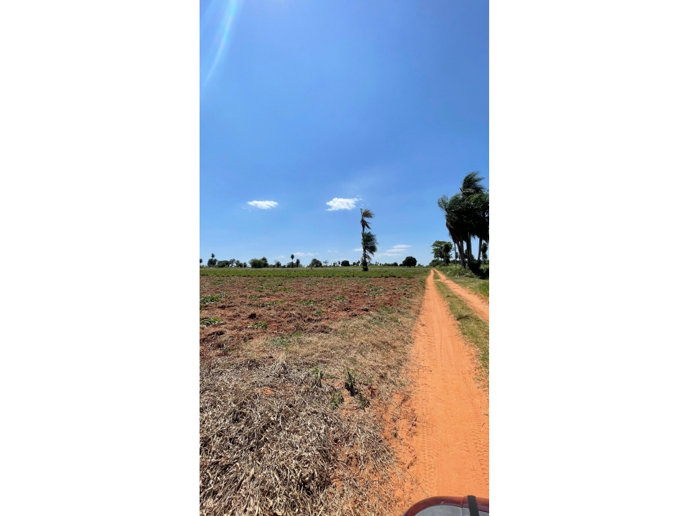 Vendo Propiedad De 5 1/4 Hectáreas En Arroyos Y Esteros — foto 3