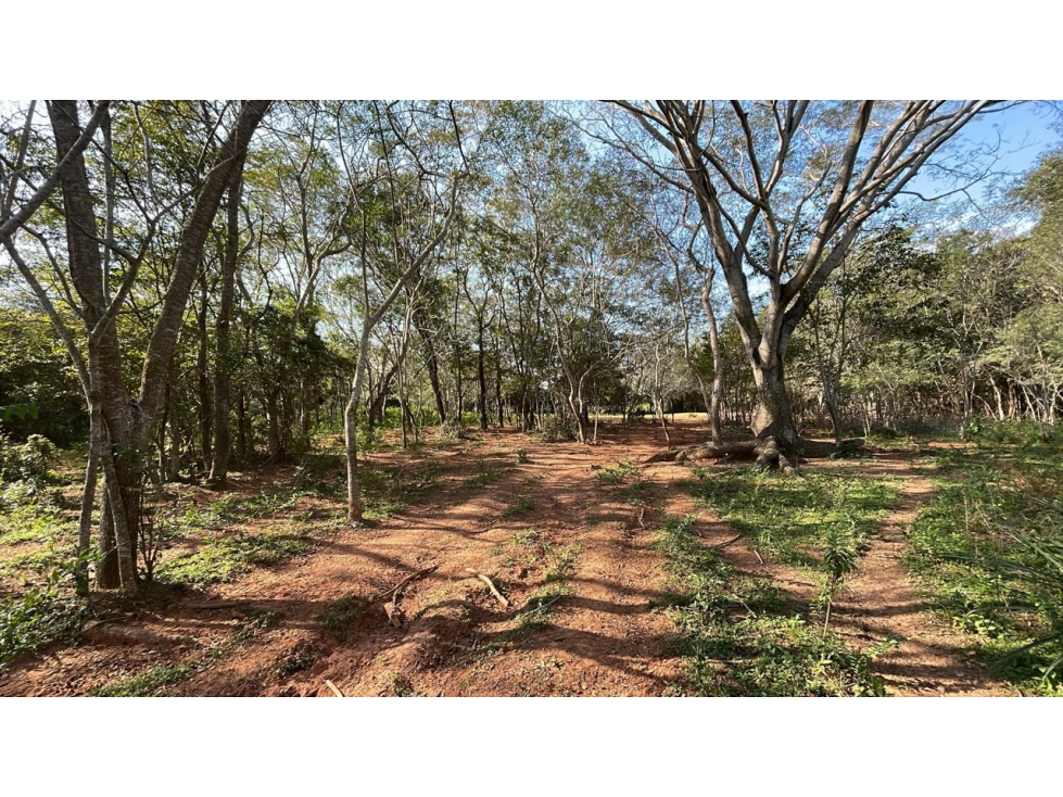 Vendo Propiedad De 22 Hectáreas En Tobati ⛰️ — foto 3
