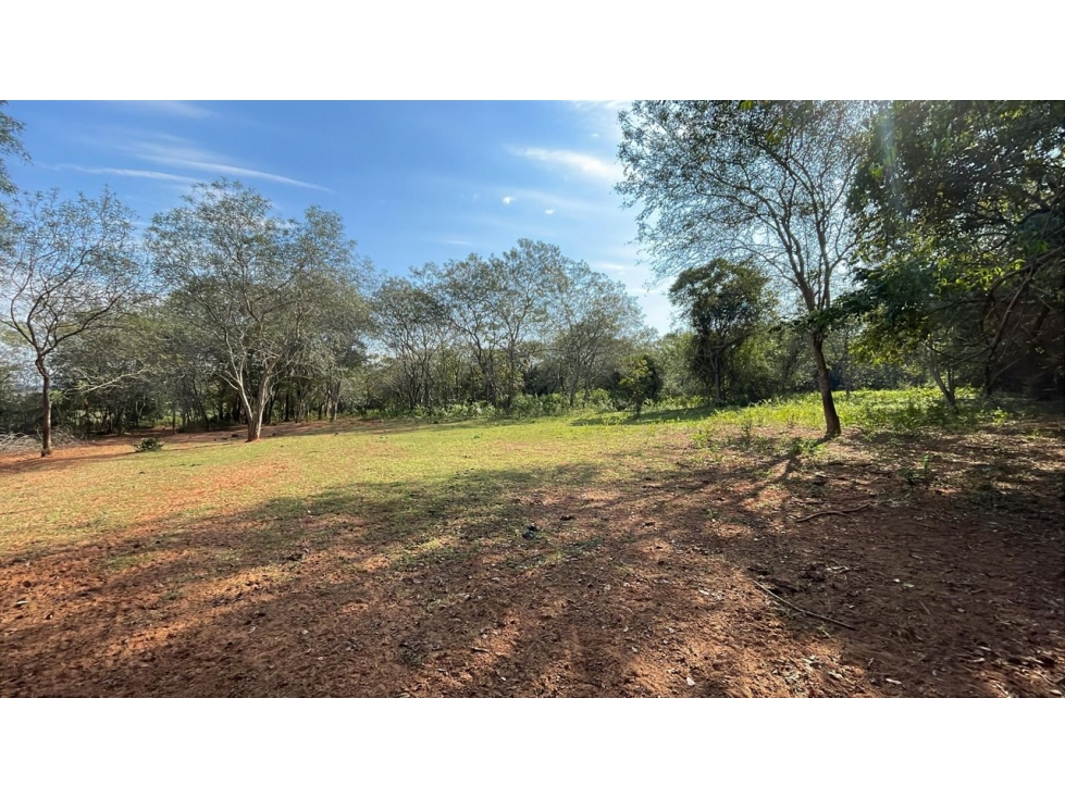 Vendo Propiedad De 22 Hectáreas En Tobati ⛰️ — foto 2