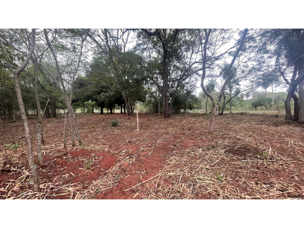 Vendo 9 hectáreas Quiindy a 2,5 km de la ruta 1 — foto 2