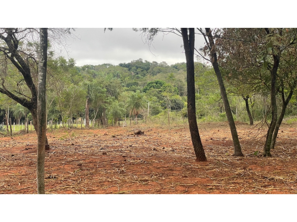 Vendo 9 hectáreas Quiindy a 2,5 km de la ruta 1 — foto 3